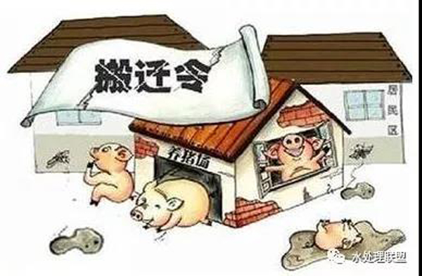 养殖场收到环保整改通知书该怎么办?关于畜牧养殖的环保法律